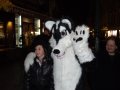 DSCF2701.JPG